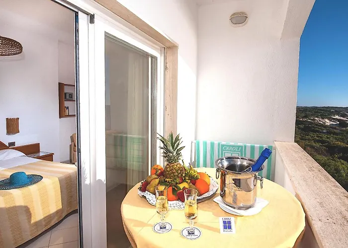 Hotiday 加利波利