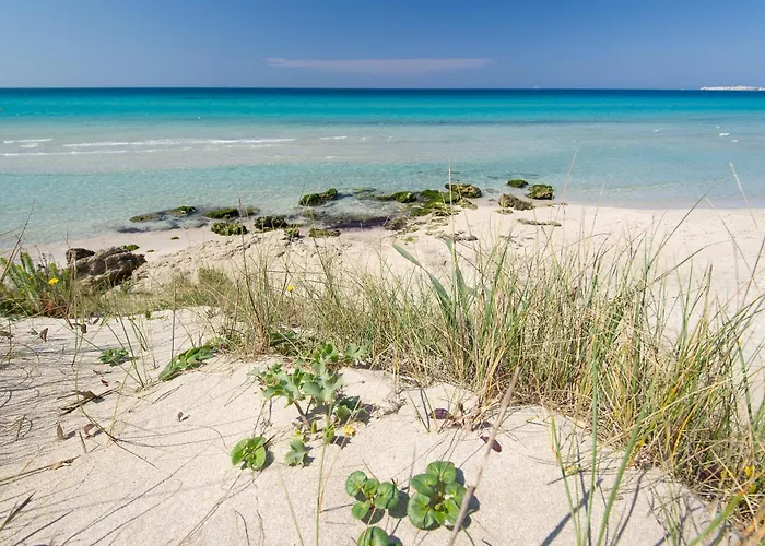 Hotiday 3* Gallipoli