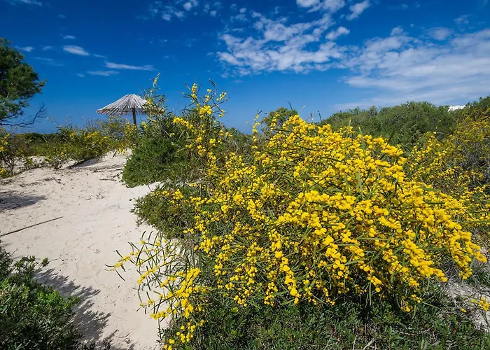 Hotiday Ξενοδοχείο Gallipoli
